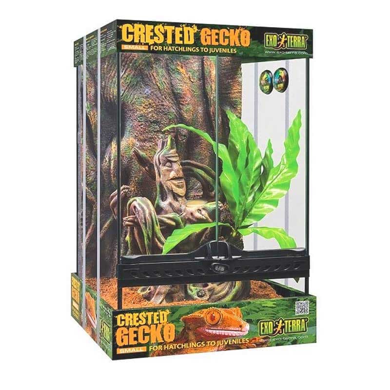 チャンダリスモ・イルストラード/Gecko Turner ゲコ・ターナー：未開封 Kit Inicio Exo Terra para Gecko Crestado