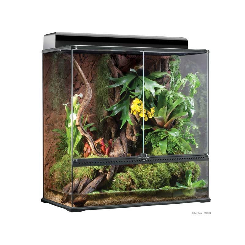 Exo Terra Terrario Large Extra Alto – Amigales