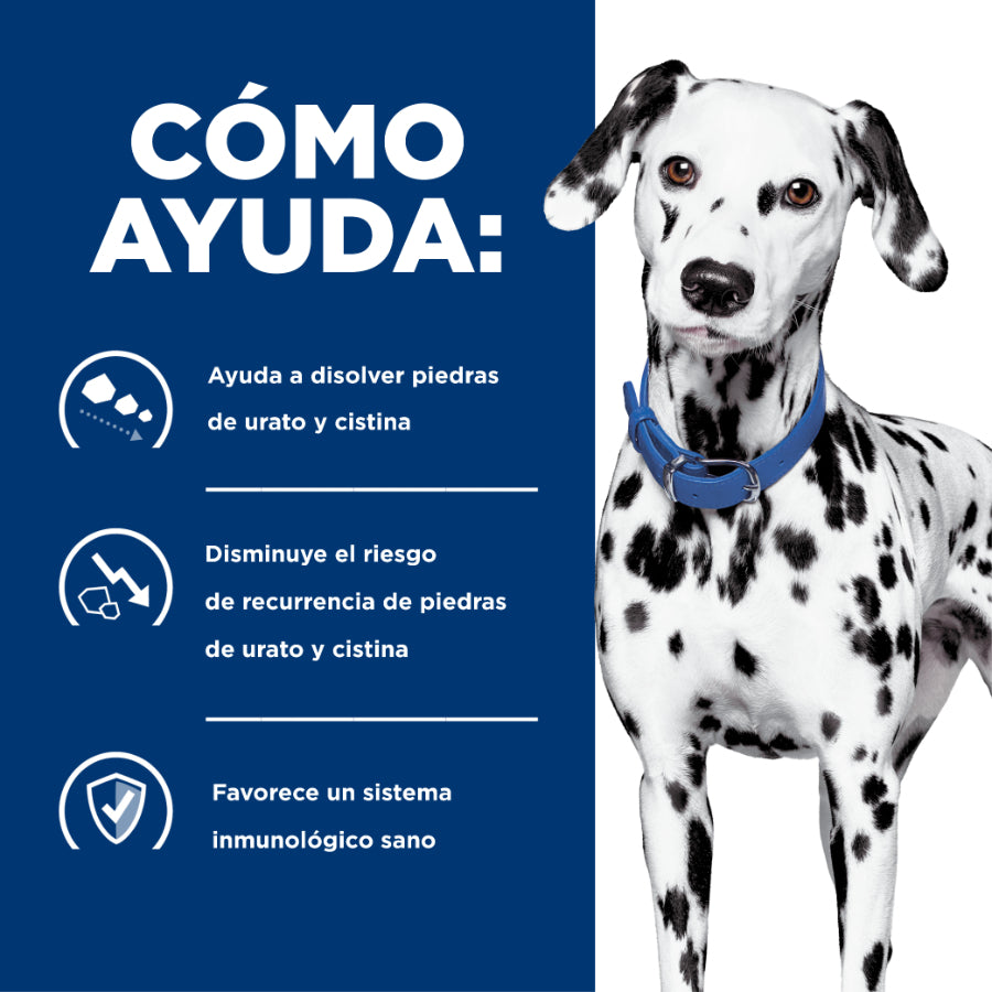Hill's Cuidado Urinario u/d para Perros