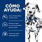 Hill's Cuidado Urinario u/d para Perros