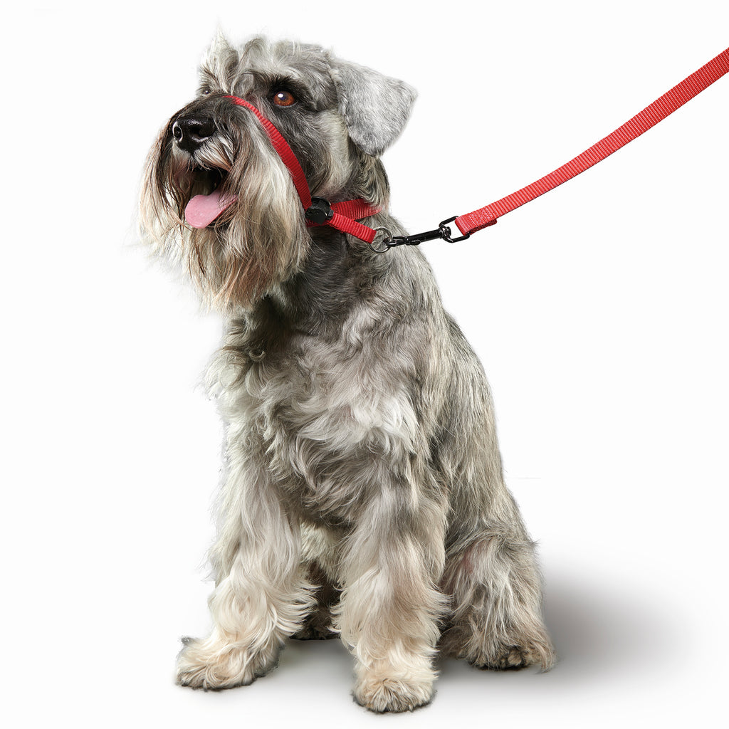 Beaphar Cabestro Gentle Leader para Perros Medium
