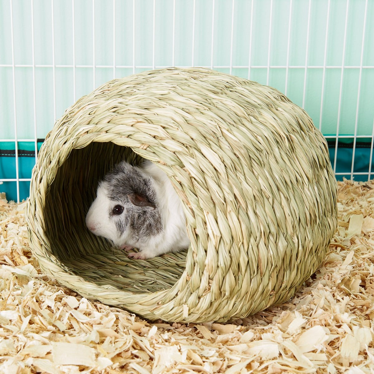 Guarida Bungalow "Timothy CLUB"