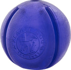 Planet Dog Pelota Guru - Morado