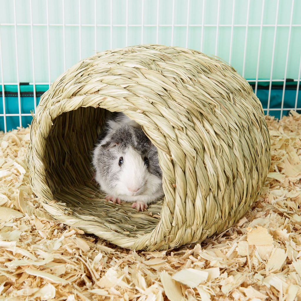 Guarida Bungalow "Timothy CLUB" - Large