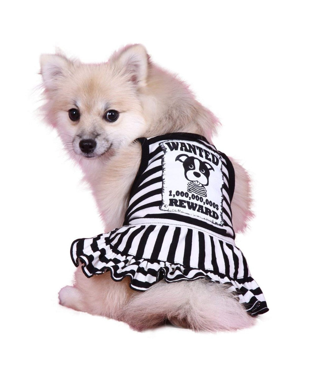 Disfraz Prisionera para Perros  - Extra Extra Large