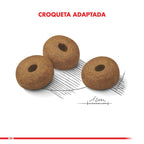 Royal Canin Medium Weight Care 10 Kg