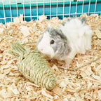 Zanahoria de Heno "Timothy CLUB"