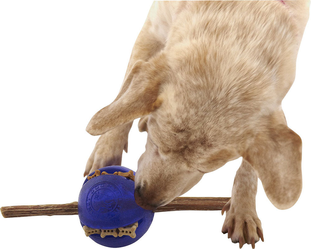 Planet Dog Pelota Guru