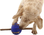 Planet Dog Pelota Guru