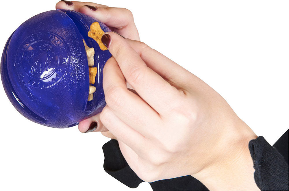 Planet Dog Pelota Guru