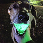 Pelota "Max Glow" Chuckit! Reflectante