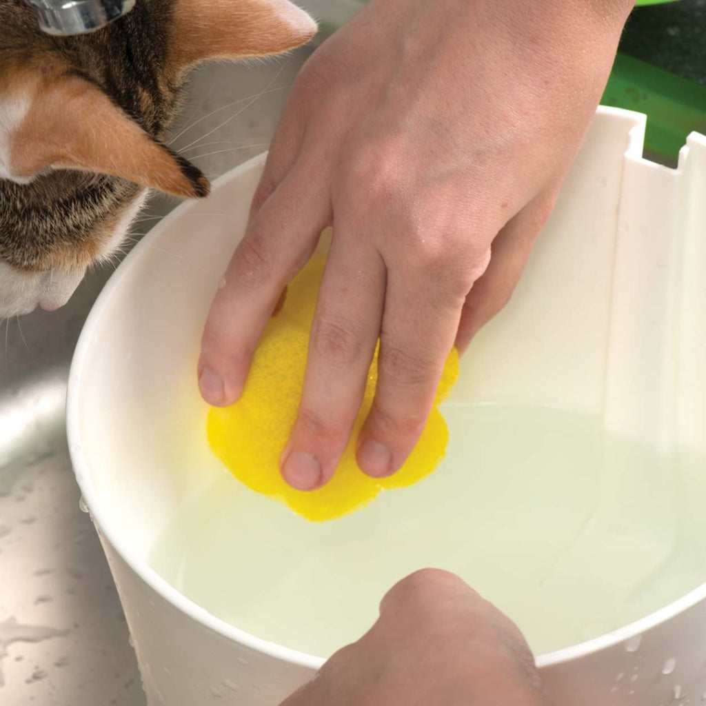 Set de Limpieza para Fuentes Catit 