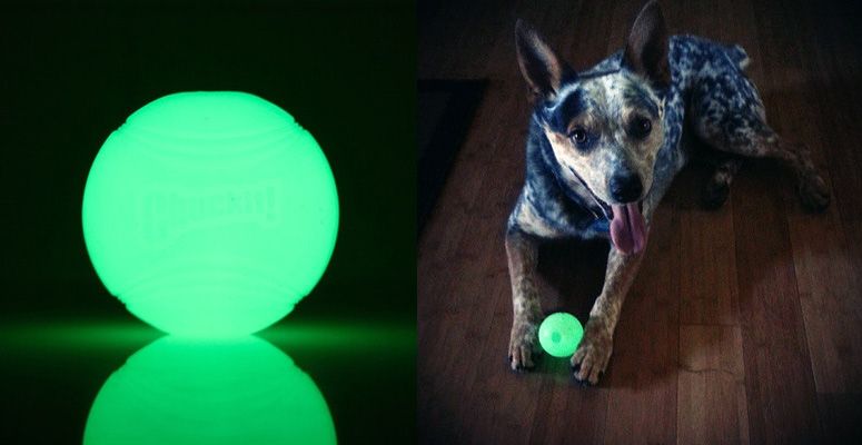 Pelota "Max Glow" Chuckit! Reflectante