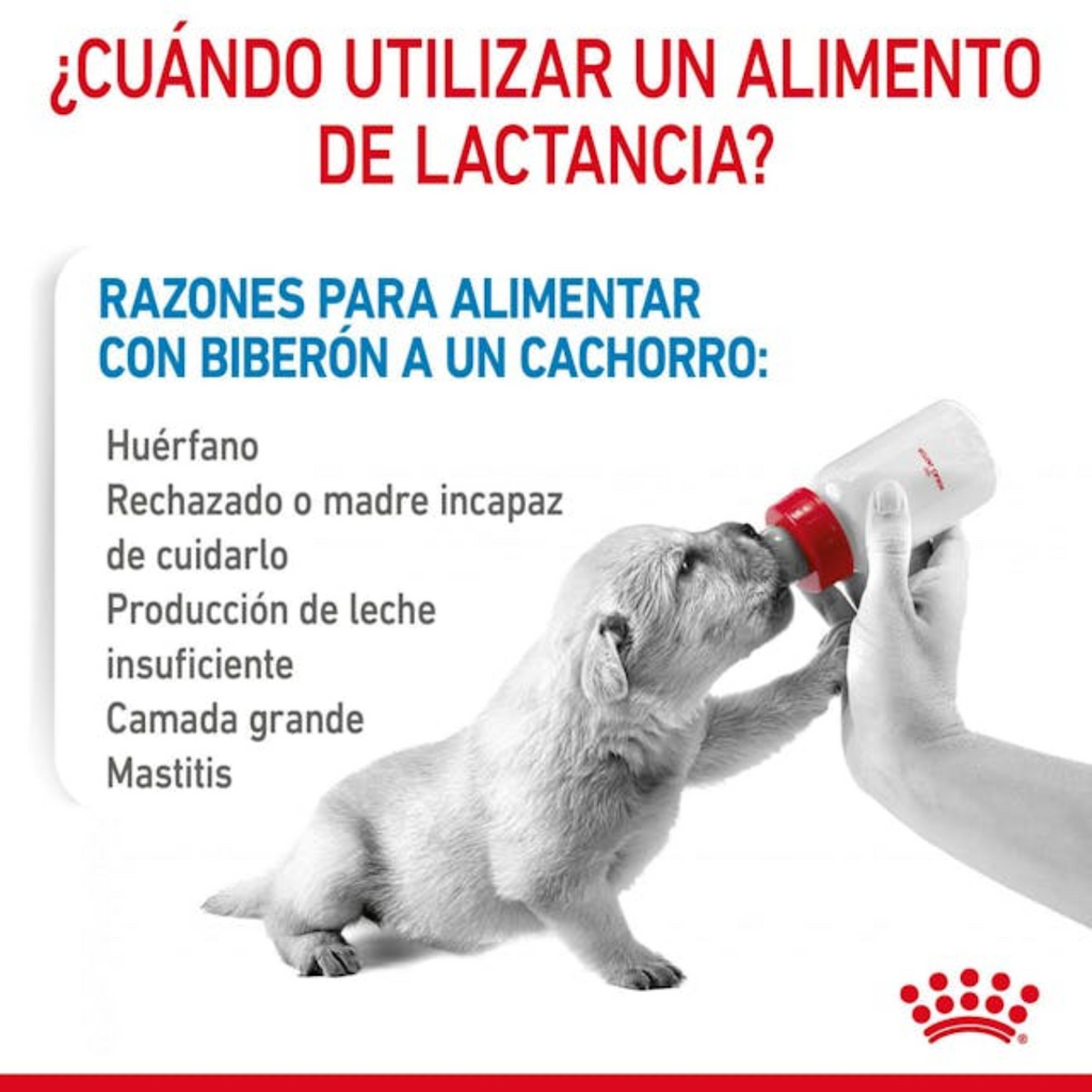 Royal Canin Babydog Milk Leche para Cachorros 400 g