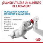 Royal Canin Babydog Milk Leche para Cachorros 400 g