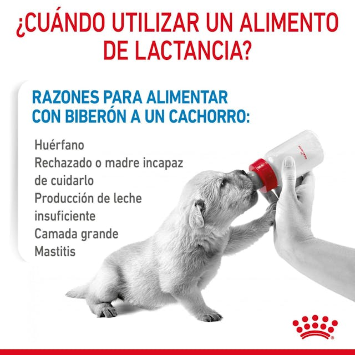 Royal Canin Babydog Milk Leche para Cachorros 400 g