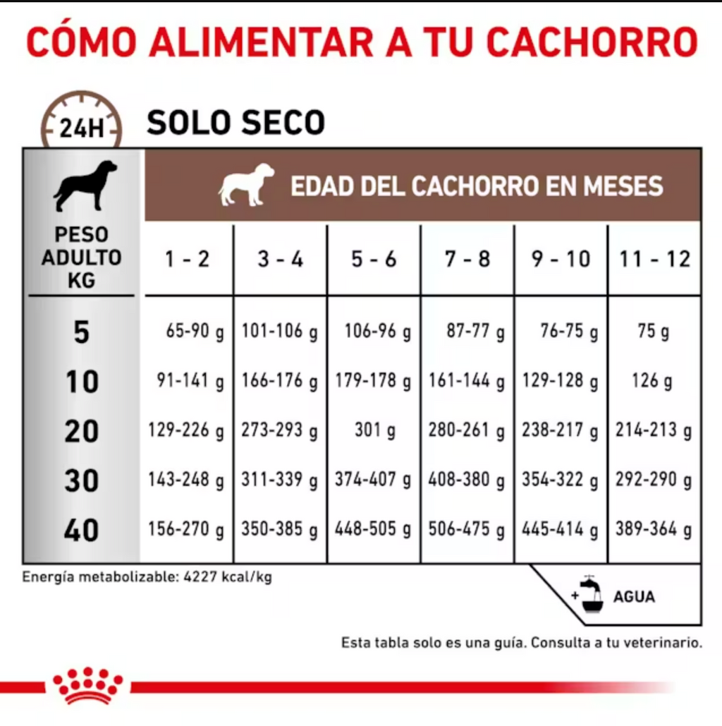 Pauta de alimentación royal canin gastrointestinal puppy.