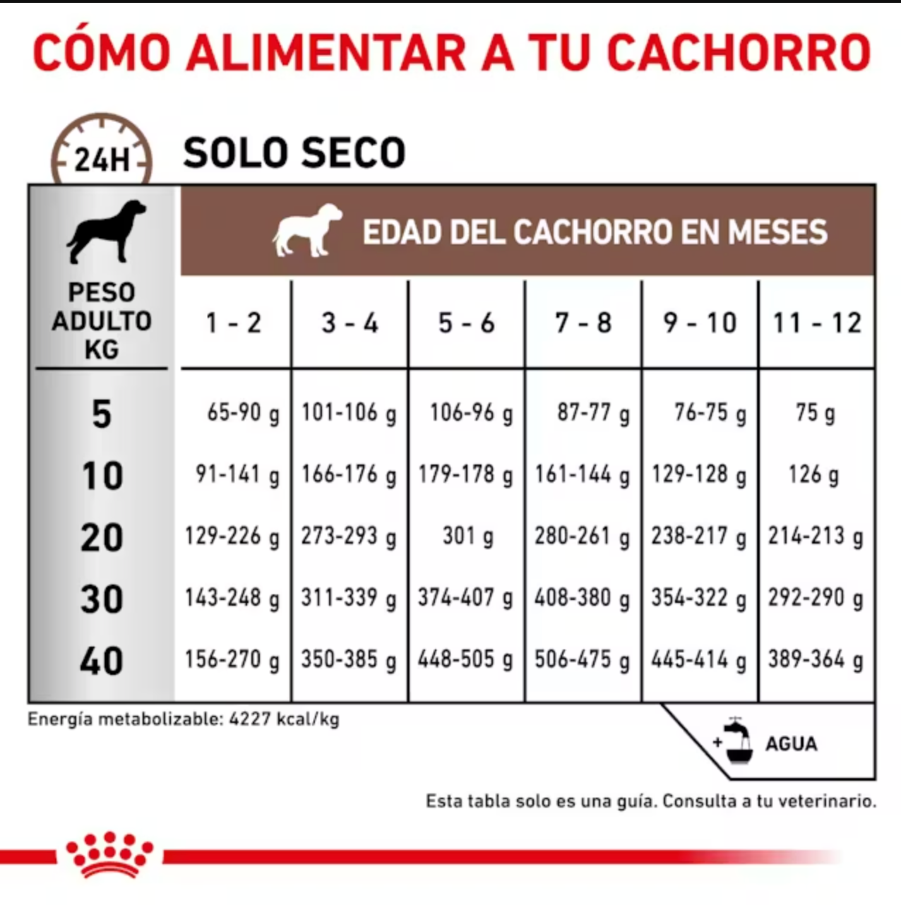 Pauta de alimentación royal canin gastrointestinal puppy.