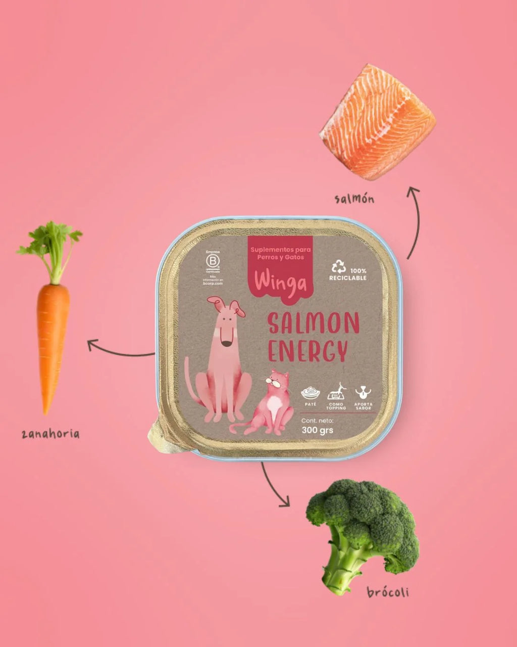 Winga Paté Salmon Energy 300 g