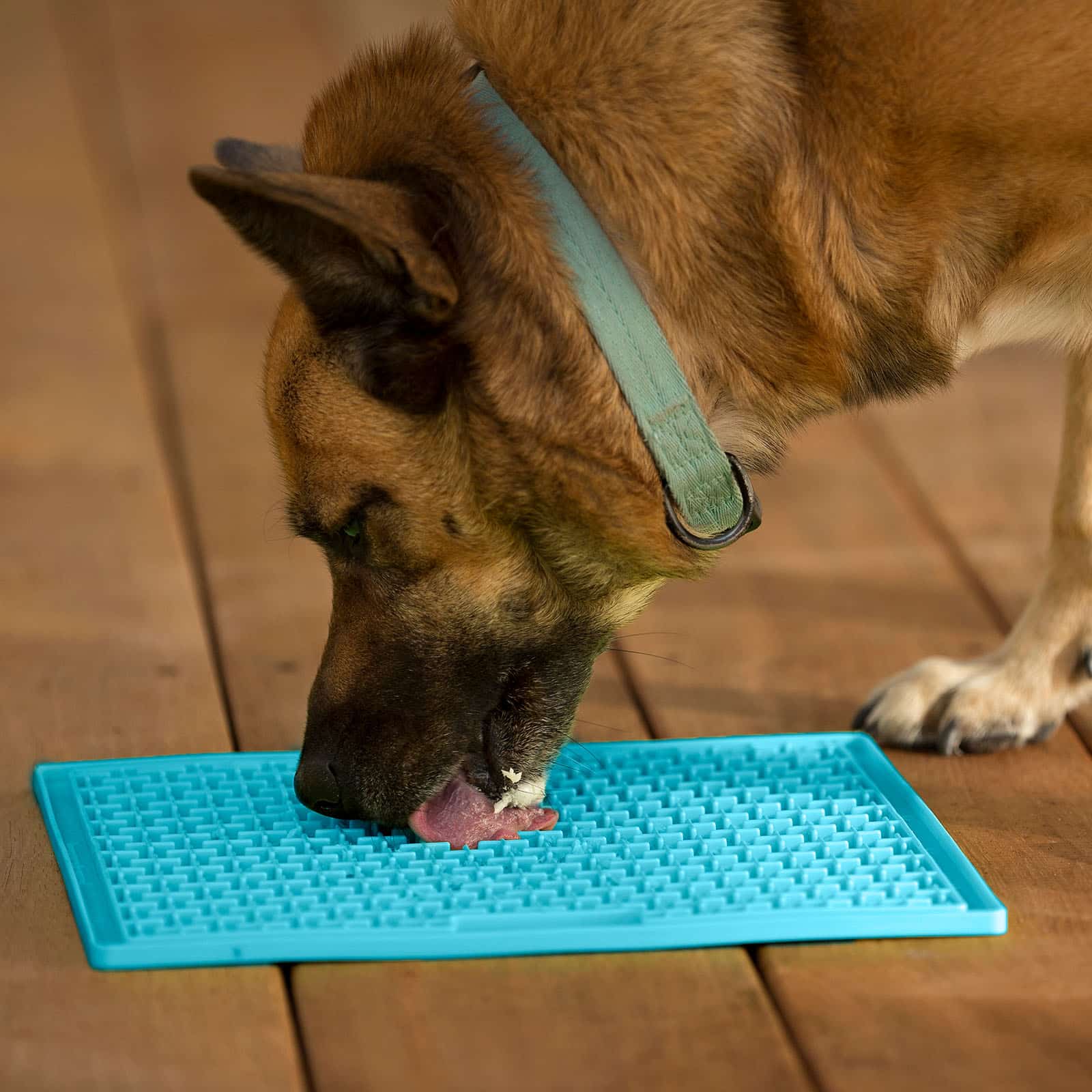 LickiMat Buddy XL para Perros