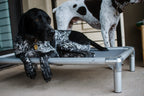 Cama Elevada K9 Tall Tails