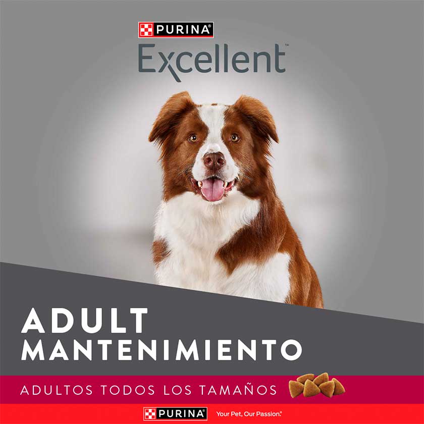 Purina Excellent Maintenance para Perros 15 Kg VENCIMIENTO