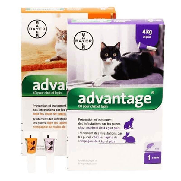 Advantage Pipeta Antipulgas para Gatos - Hasta 4 kilos