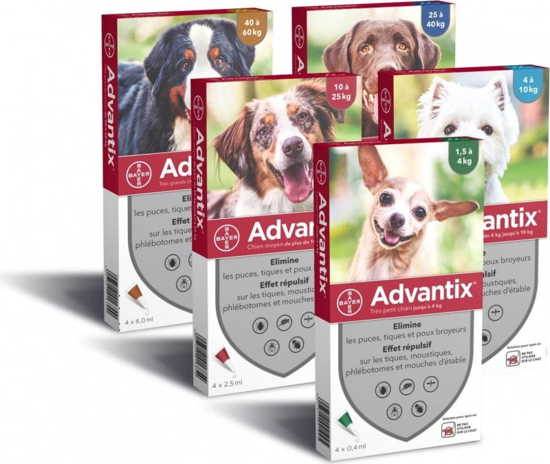 Antiparasitario Pipeta Advantix para Perros
