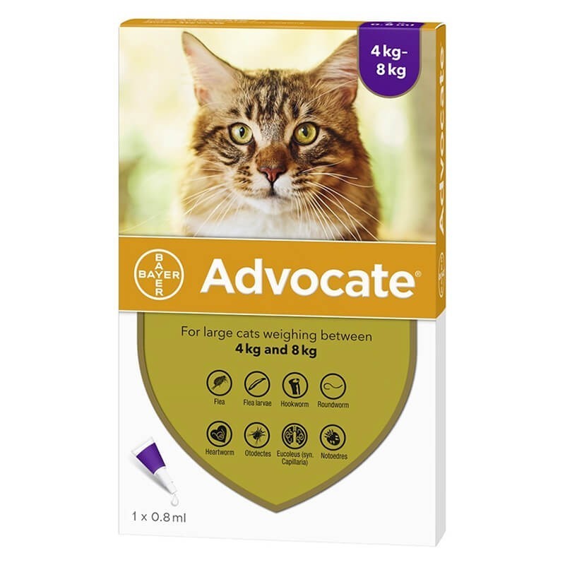 Advocate para Gatos y Hurones Bayer