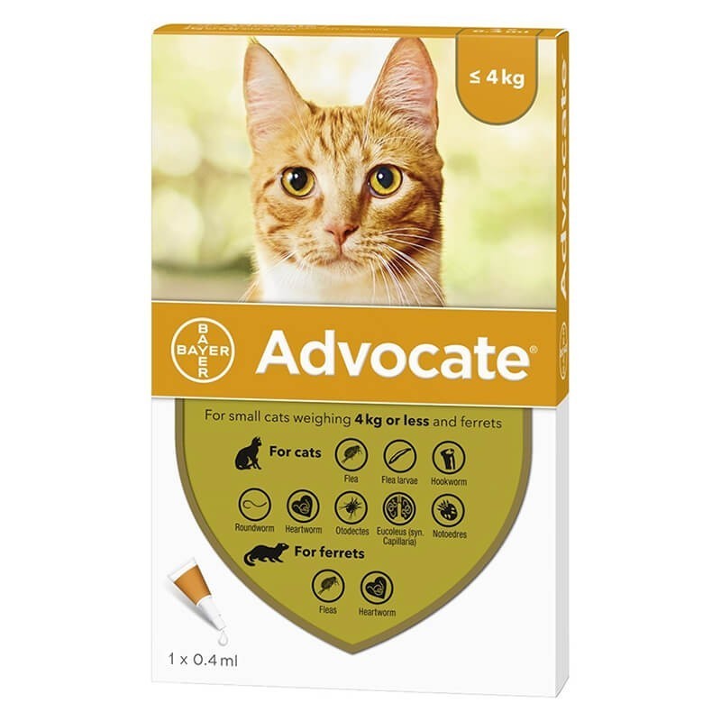 Advocate para Gatos y Hurones Bayer