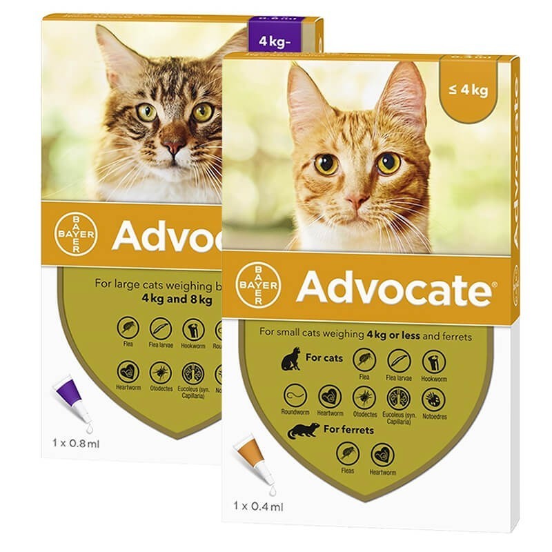 Advocate para Gatos y Hurones Bayer - Hasta 4 Kg