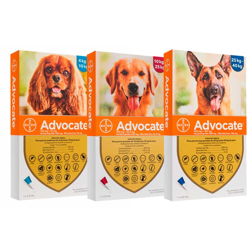 Pipeta Advocate para Perros - 4 -10 Kg