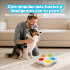All for Paws Juguete Interactivo con Botones Entrenamiento