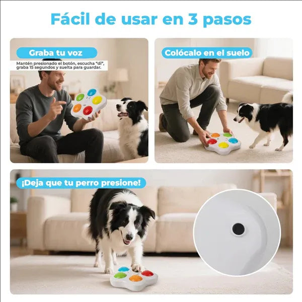 All for Paws Juguete Interactivo con Botones Entrenamiento