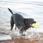 Pelota Airdog® Squeaker Football Kong - Medium