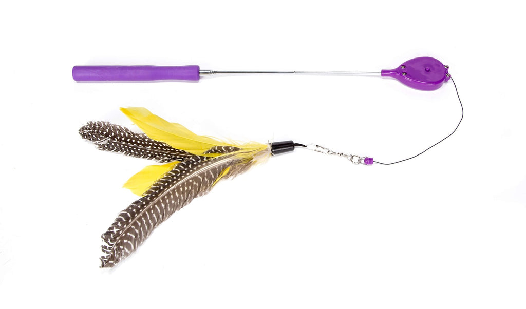 Caña de pescar "Air Prey Wand" Jackson Galaxy 