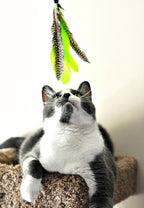 Caña de pescar "Air Prey Wand" Jackson Galaxy 