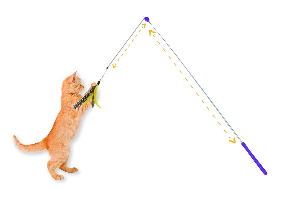 Caña de pescar "Air Prey Wand" Jackson Galaxy 