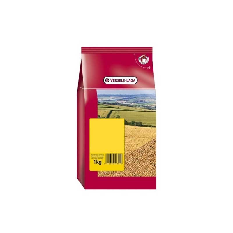 Semillas para Canarios Alpiste Versele laga - 1 Kg