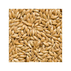 Semillas para Canarios Alpiste Versele laga - 25 Kg