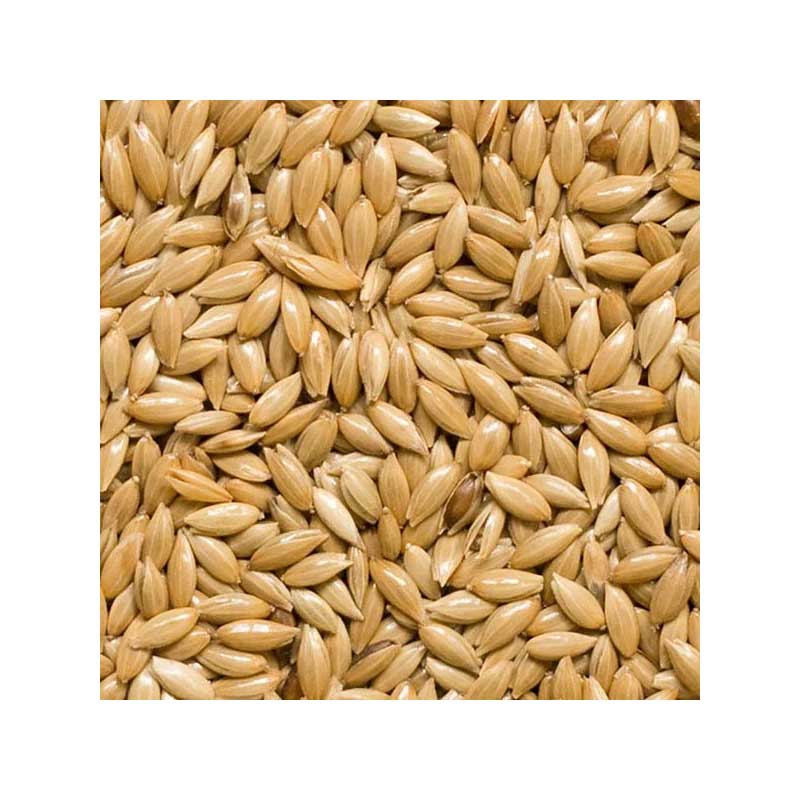 Semillas para Canarios Alpiste Versele laga