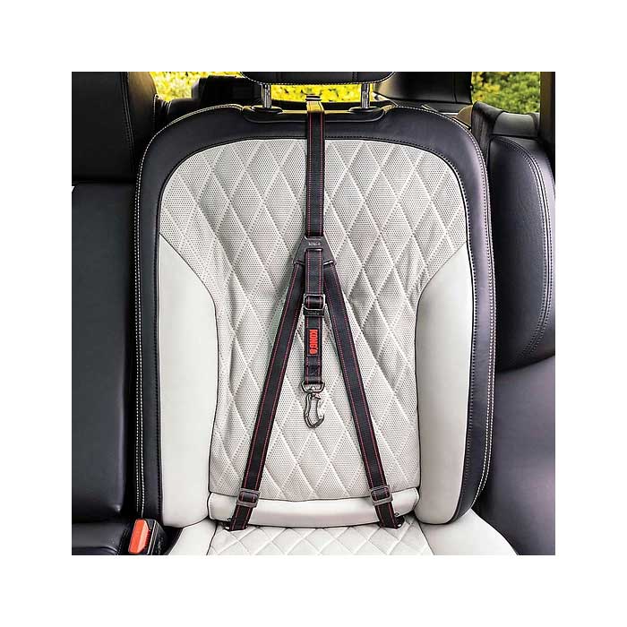 Anclaje de Seguridad para Auto Kong Travel