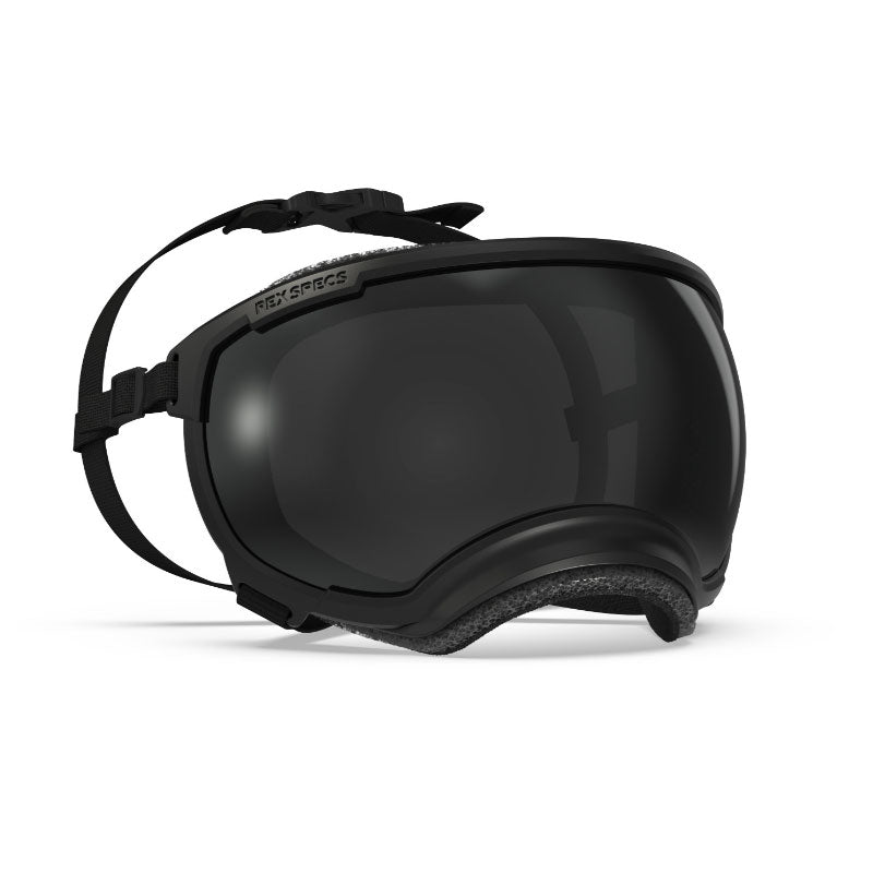 Rex Specs V2 Antiparra para Perros Black