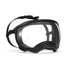 Rex Specs V2 Antiparra para Perros Black