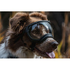 Rex Specs V2 Antiparra para Perros Black