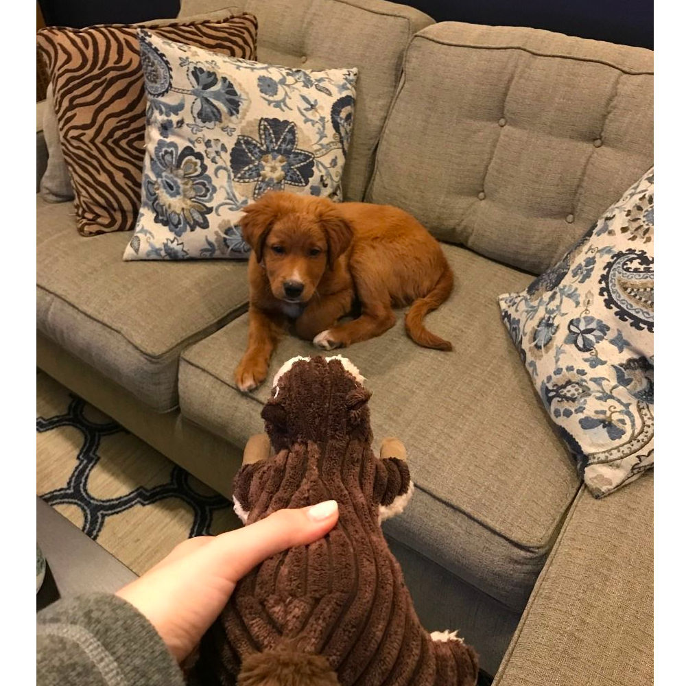 Peluche Ardilla con Sonido Tall Tails