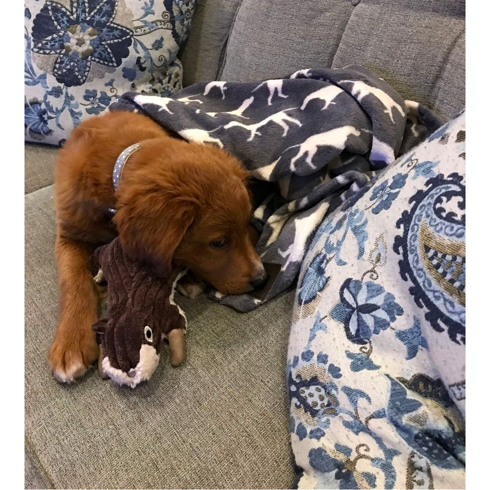 Peluche Ardilla con Sonido Tall Tails