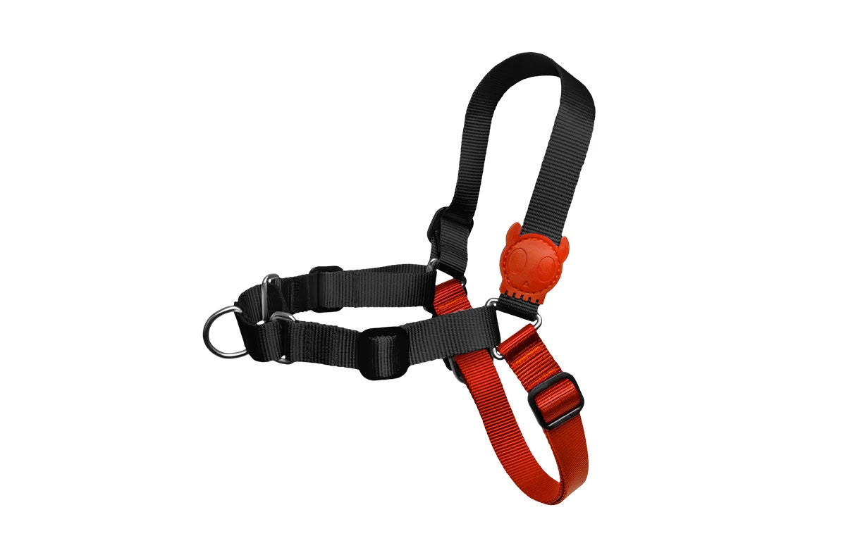 Arnés Anti Tirones "Soft-Walk" Fatboy Zee.Dog