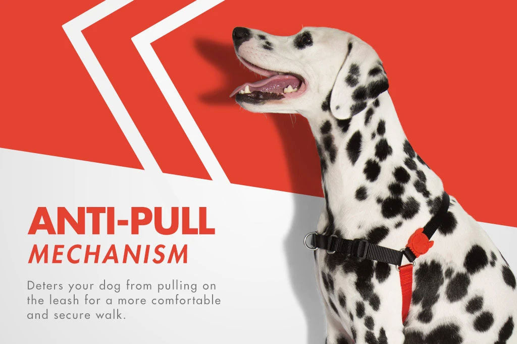 Arnés Anti Tirones "Soft-Walk" Fatboy Zee.Dog