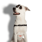 Arnés Anti Tirones "Soft-Walk" Fatboy Zee.Dog - L: Pecho 66,5-105 cm